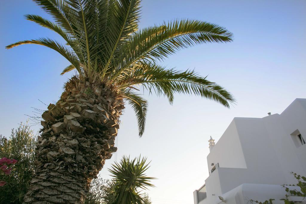 Anna-Maria Mykonos Hotel Glásztrosz Kültér fotó